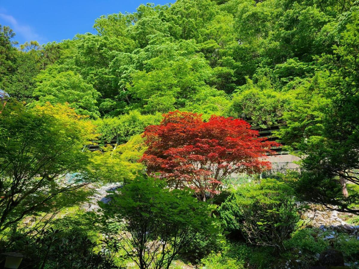 Ichimaru Ryokan - Vacation Stay 77851V Tenkawa Luaran gambar